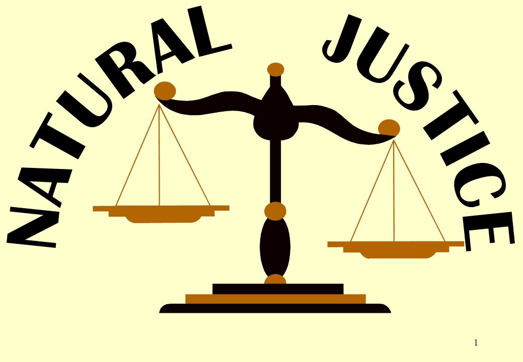 principles-of-natural-justice-just-how-important-are-they-lawsisto